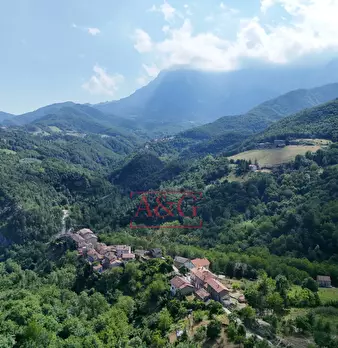 Foto annuncio 54