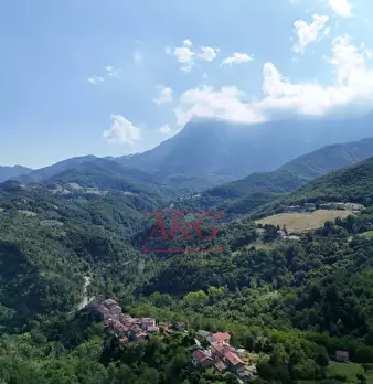 Foto annuncio 55