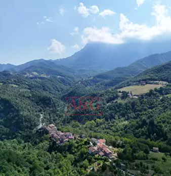 Foto annuncio 56