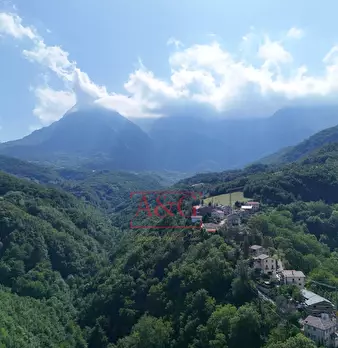 Foto annuncio 60
