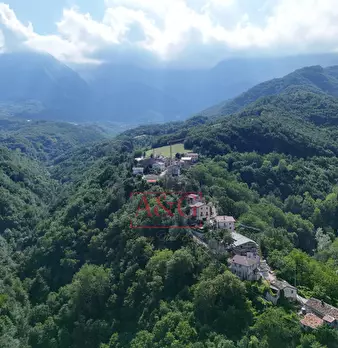 Foto annuncio 61