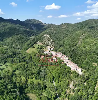 Foto annuncio 62