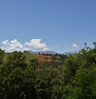 Foto annuncio 39