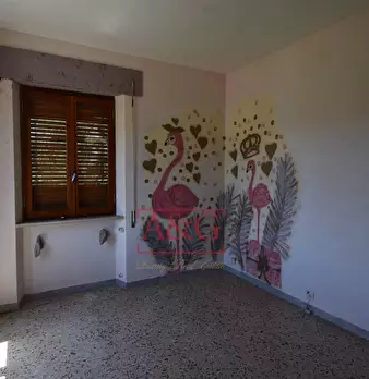 Foto annuncio 42