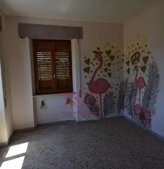 Foto annuncio 43
