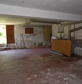 Foto annuncio 52