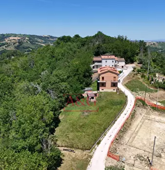 Foto annuncio 67