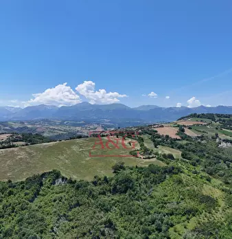 Foto annuncio 69