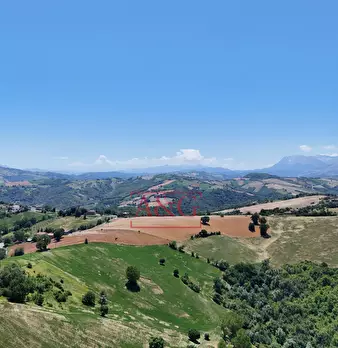 Foto annuncio 70