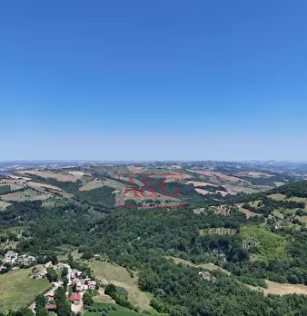 Foto annuncio 71