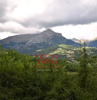 Foto annuncio 21