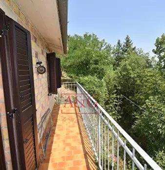 Foto annuncio 11