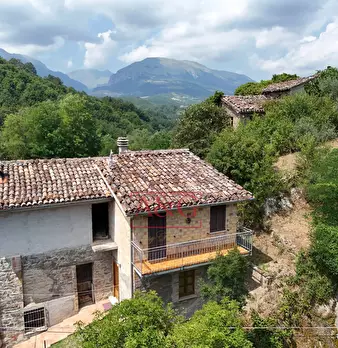 Foto annuncio 21