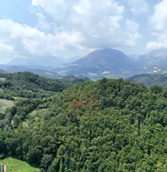 Foto annuncio 24