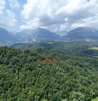 Foto annuncio 25