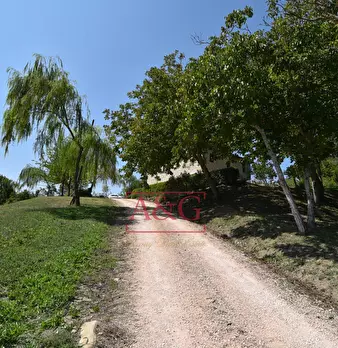 Foto annuncio 69