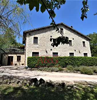 Foto annuncio 7