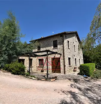 Foto annuncio 8