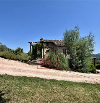 Foto annuncio 66