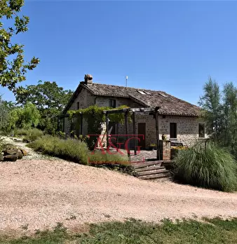 Foto annuncio 9