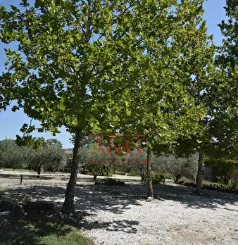 Foto annuncio 70