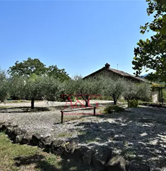 Foto annuncio 65