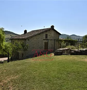 Foto annuncio 10