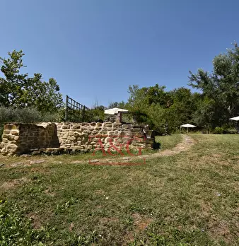Foto annuncio 74