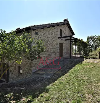 Foto annuncio 60