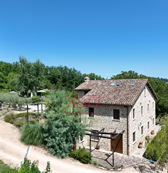 Foto annuncio 78