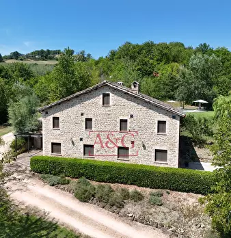 Foto annuncio 81