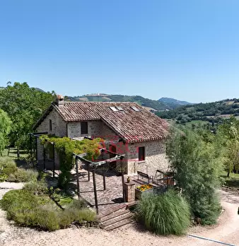 Foto annuncio 84