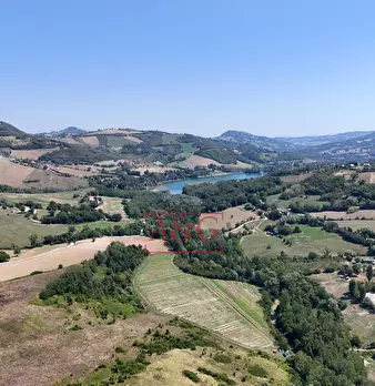 Foto annuncio 68