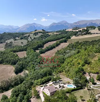 Foto annuncio 88