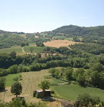 Foto annuncio 22