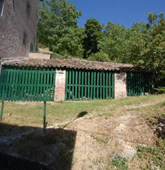 Foto annuncio 7