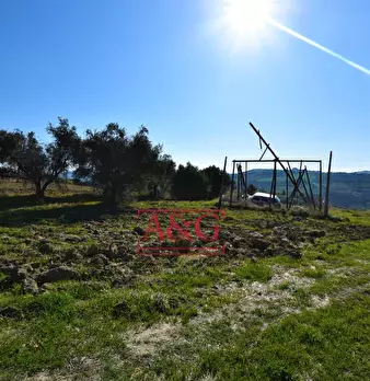 Foto annuncio 4