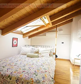 Foto annuncio 12