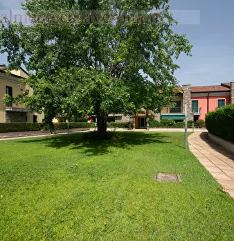 Foto annuncio 14