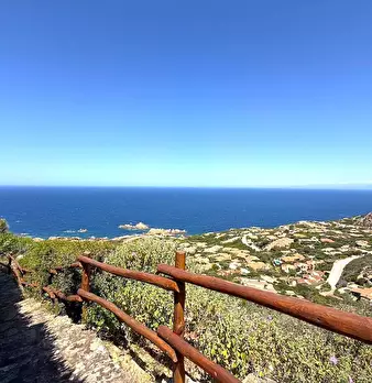 Foto annuncio 4