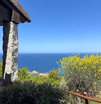 Foto annuncio 6