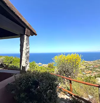 Foto annuncio 7