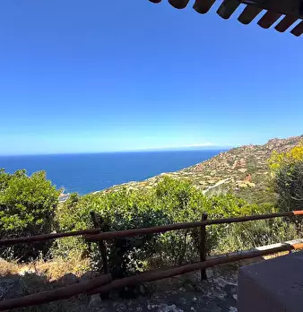 Foto annuncio 21