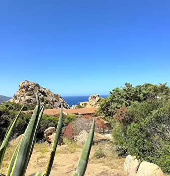 Foto annuncio 14