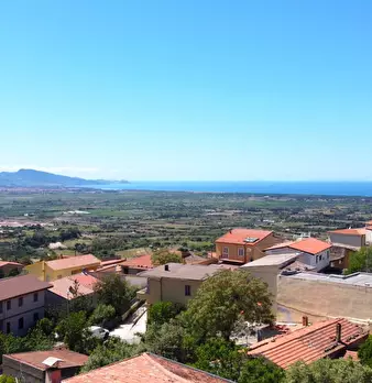 Foto annuncio 14