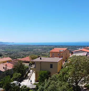 Foto annuncio 15