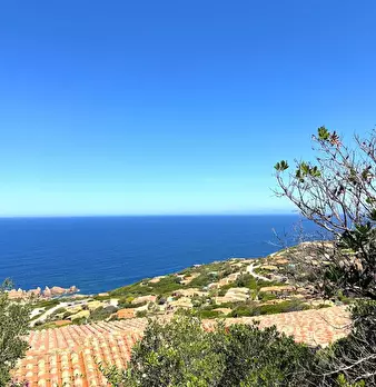 Foto annuncio 30