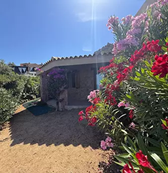 Foto annuncio 3