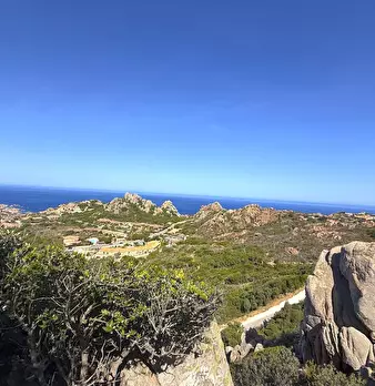 Foto annuncio 19