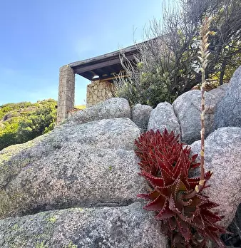 Foto annuncio 20